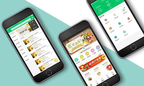 专业app开发为什么价格昂贵 定制app好在什么地方