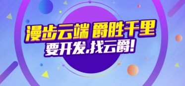 中山app开发公司 广州云爵定制开发价格及规格型号